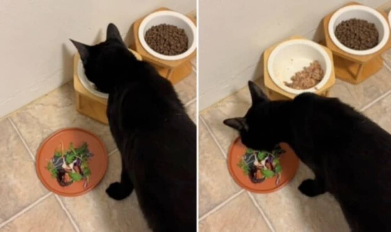 20240201_004435_batch