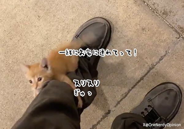 猫に選ばれしヒゲメンがここにも。職場近くで子猫にロックオンされ脚にしがみついて離れない
