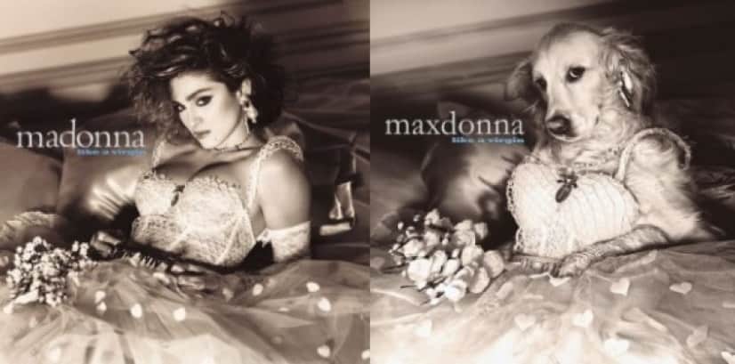 madonna5