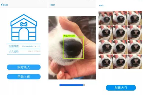 dog2_e
