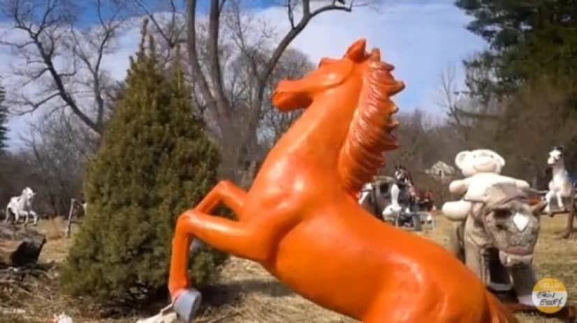 pony8_e
