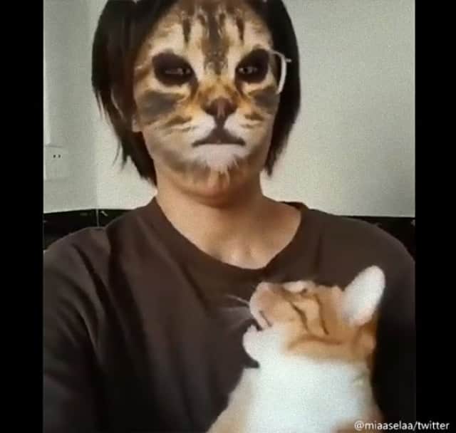 猫顔アプリで猫化した飼い主を見たときの猫の反応 カラパイア