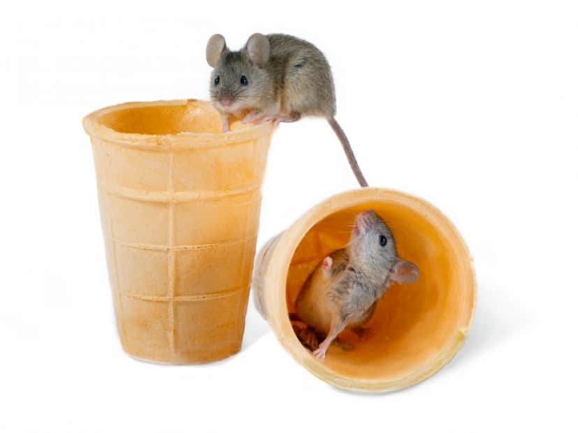iStock-910828614