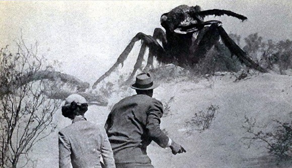 巨大昆虫 人食い昆虫 7つの昆虫に関しての都市伝説に迫る 昆虫注意 カラパイア