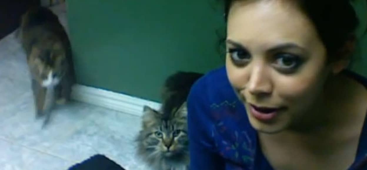 猫語が話せるというおねえさんに対する4匹の猫の反応 : カラパイア