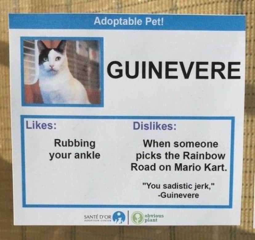 Guinevere_e