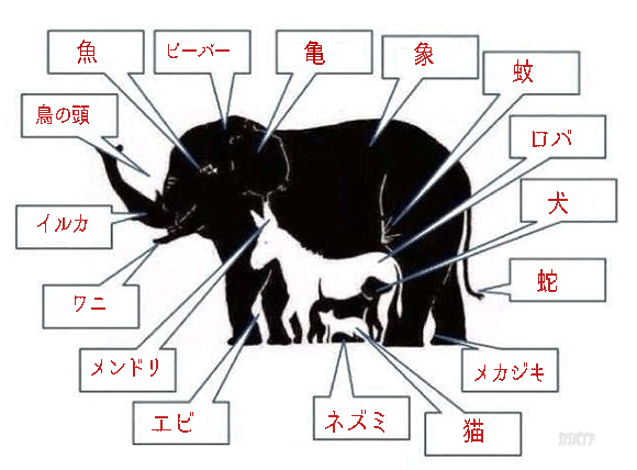 この中に16匹の動物が隠れています 全部わかるかな ってわかるかーい カラパイア この中に16匹の動物が隠れています 全部わかるかな ってわかるかーい カラパイア