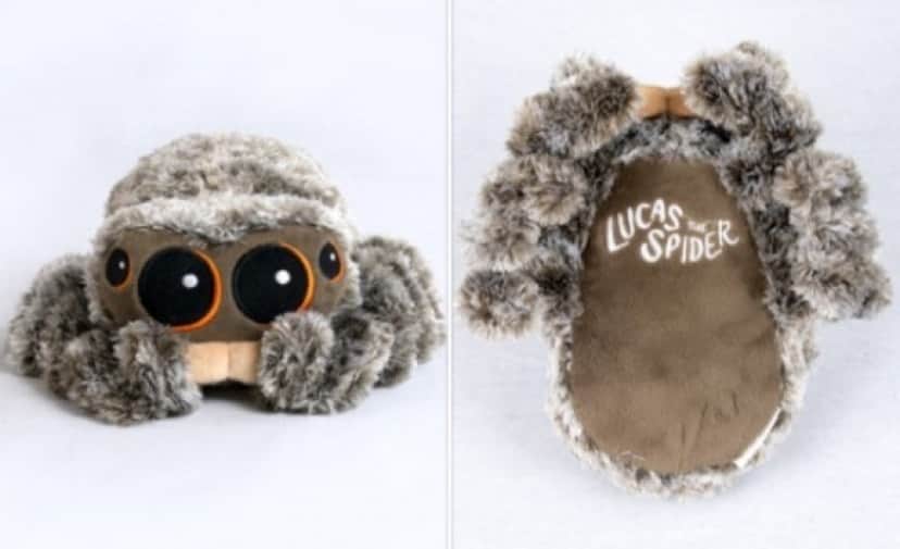 spider3