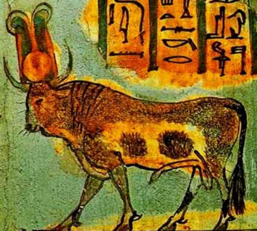 2_e5