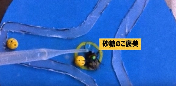 4_e0