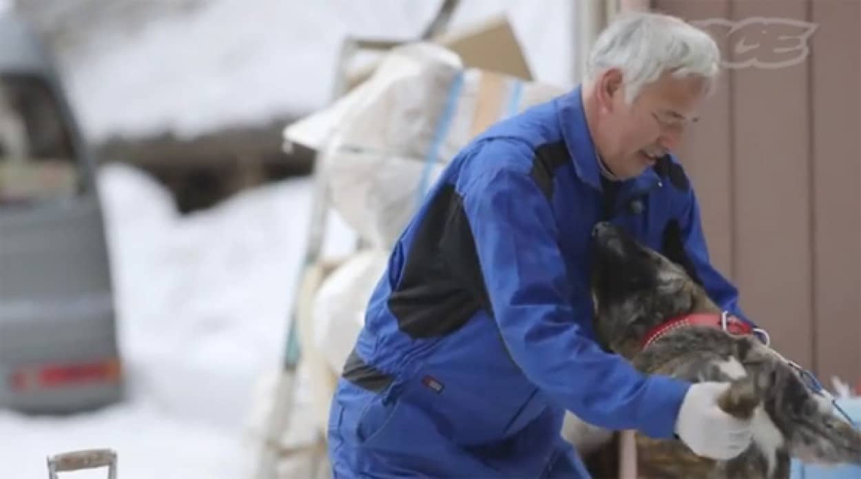 東日本大震災から3年 見捨てられた動物たちの為 原発キロ圏内で生きることを選んだ男性の今 カラパイア 東日本大震災から3年 見捨てられた動物たちの為 原発キロ圏内で生きることを選んだ男性の今 カラパイア