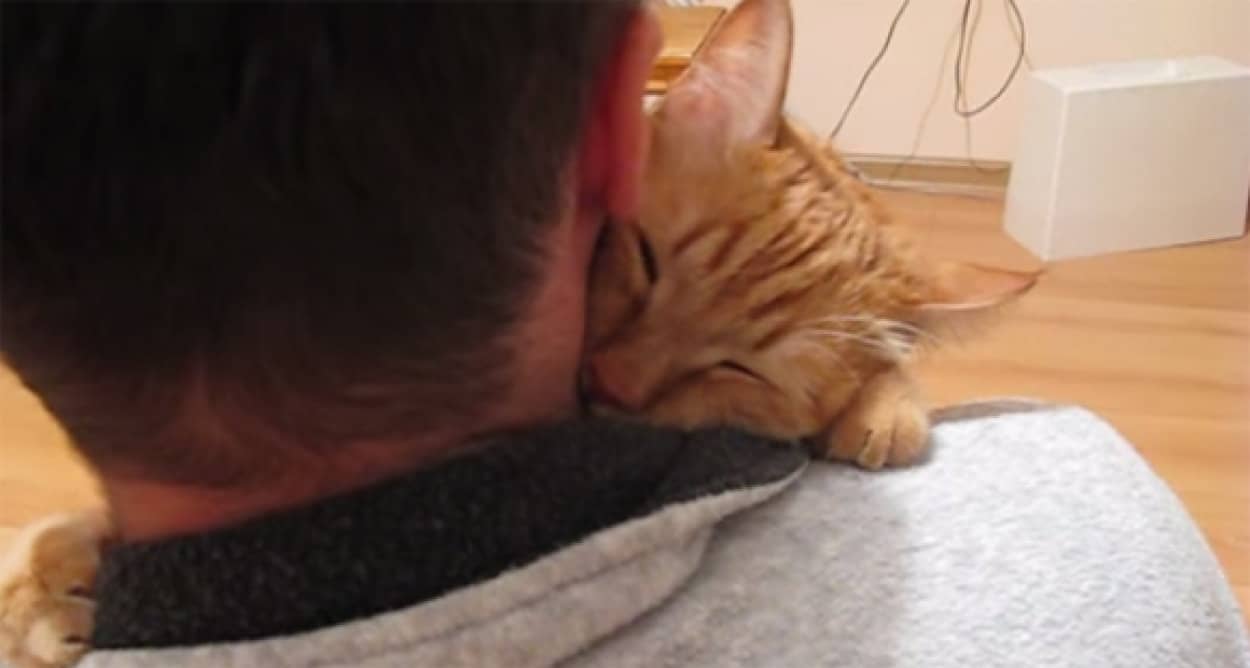 猫にギュって抱き付かれるとその場を動けなくなる下僕のいる風景 カラパイア 猫にギュって抱き付かれるとその場を動けなくなる下僕のいる風景 カラパイア