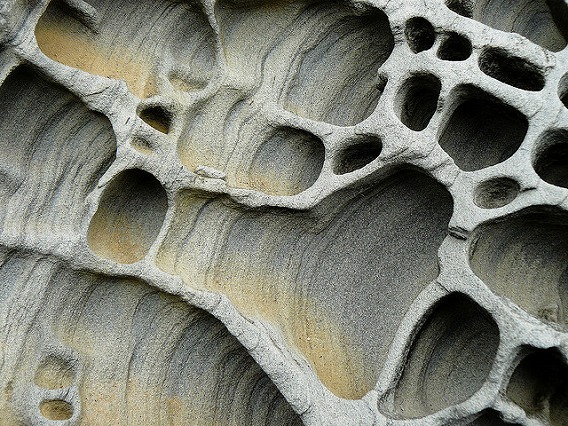 tafoni 19