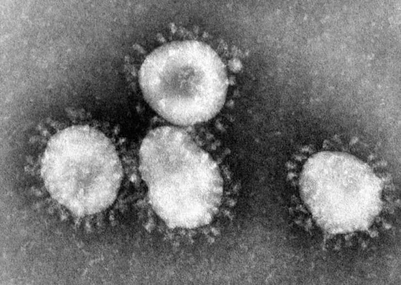 Coronaviruses_004_lores_e