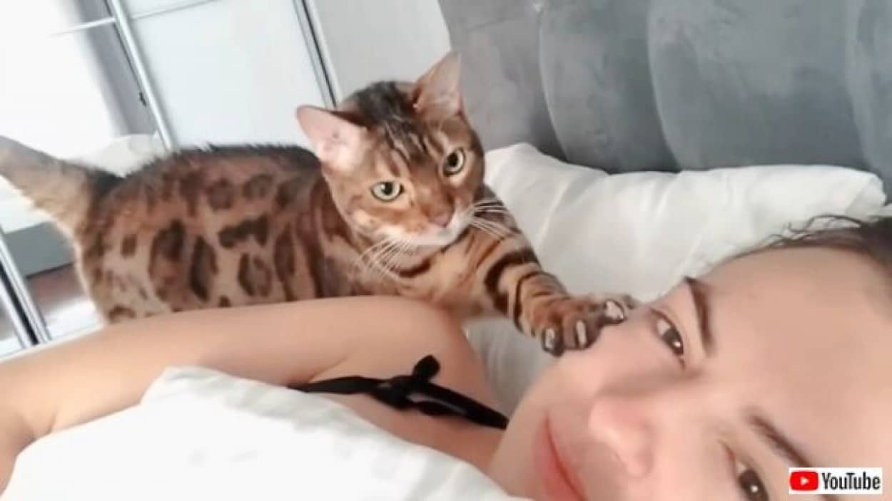 20221023_200917_batch