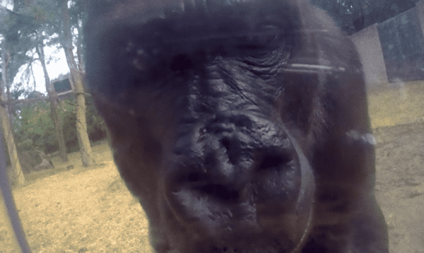 camera3_e_e