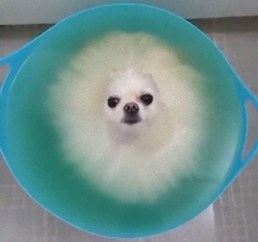 bath1_e