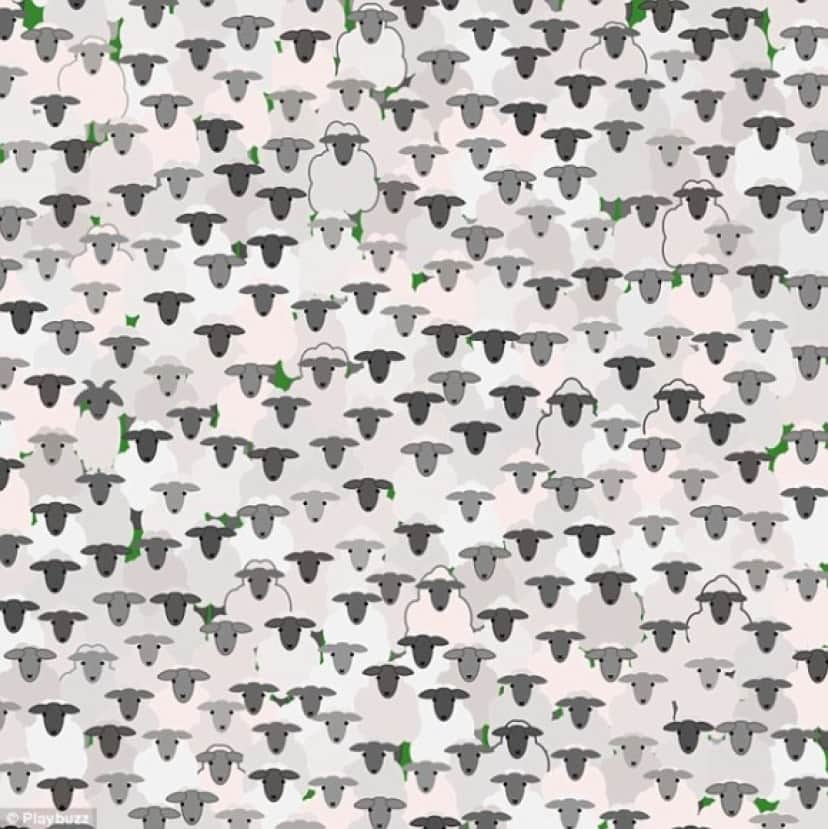 まだまだ探す気がある人のための この中からあるものを探せ 5つのクイズ カラパイア