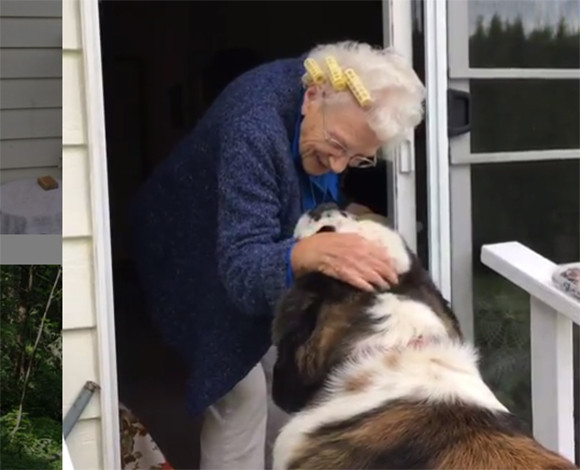 長年一人暮らしだったおばあさんの家の隣に越してきた大きな犬と小さな犬 そこから始まる友情物語 アメリカ カラパイア