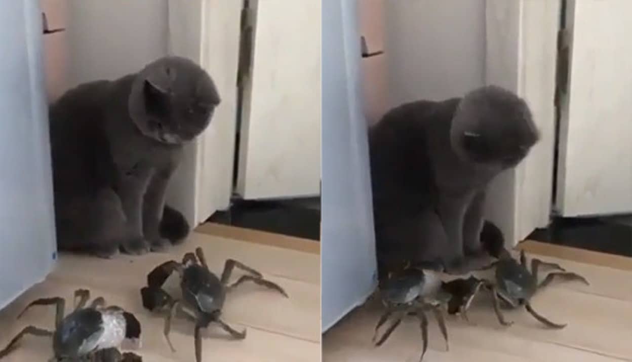 no title