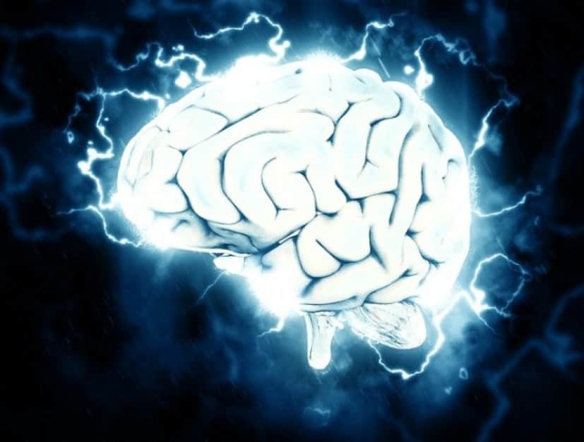 brain-1845962_640_e