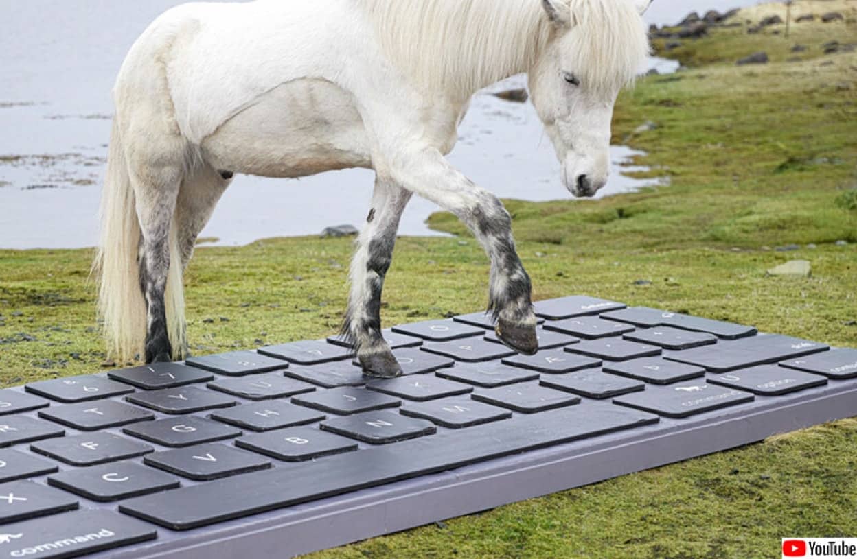馬がメールを返信してくれるアイスランド観光広告