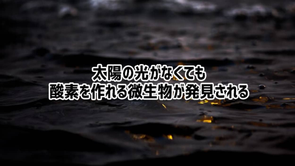 太陽の光がなくても酸素を作れる微生物