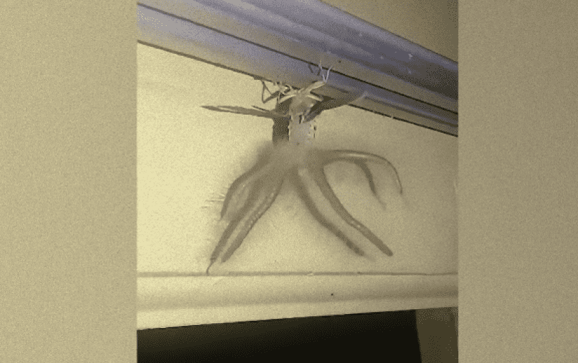 mushi3