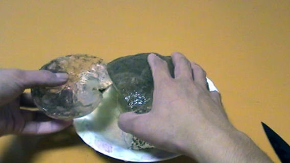 謎生物 オオマリコケムシ を実際に食べてみた 佐賀県 カラパイア