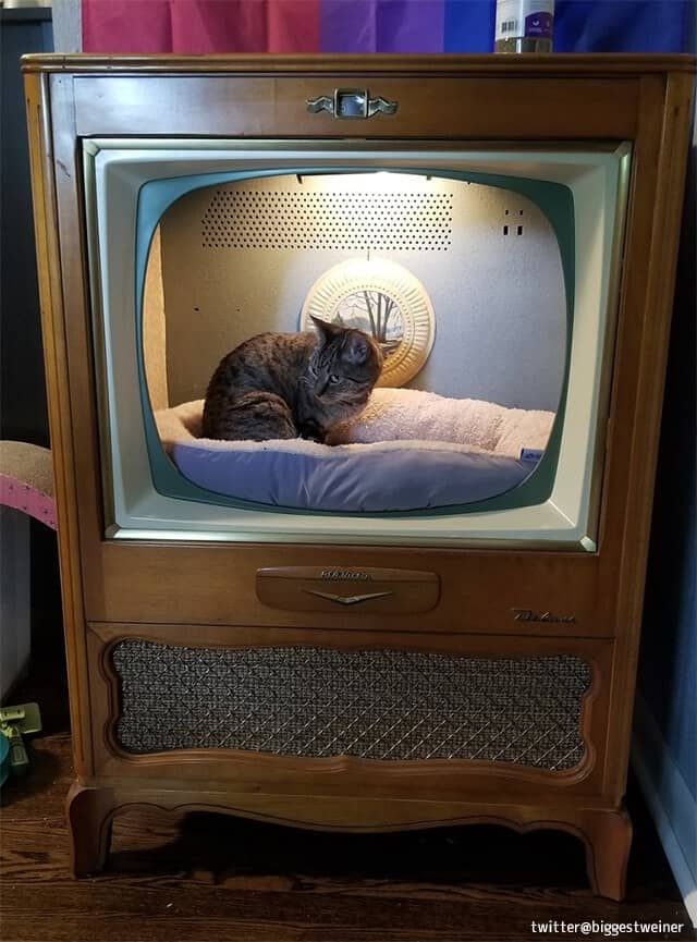 お父さんがテレビ改造猫用ベッドをDIY