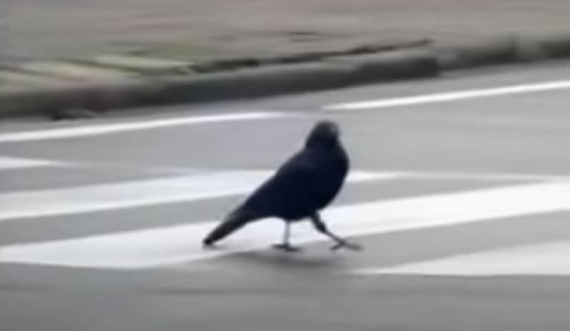 7_e