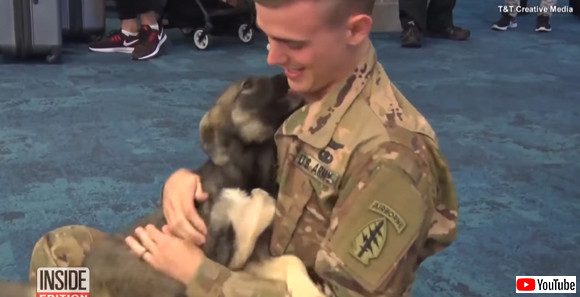 戦場の友は永遠の友となる。シリアで共に過ごした犬を家族としてアメリカに迎え入れた帰還兵、その感動の再会