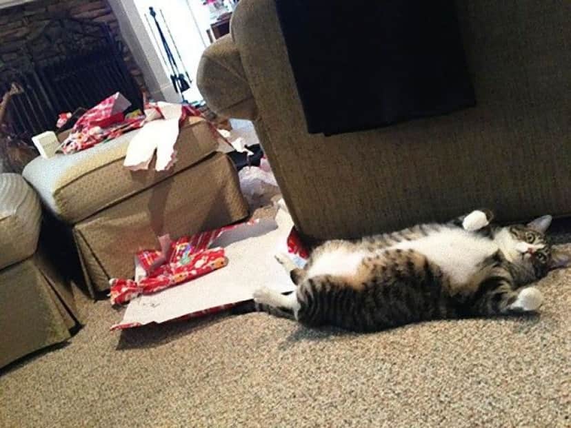 XX-animals-destroying-Christmas-6__605_e
