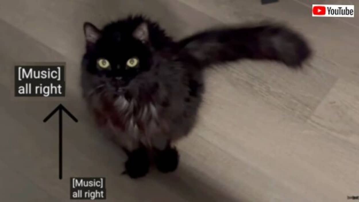 20240117_193935 (7)_batch