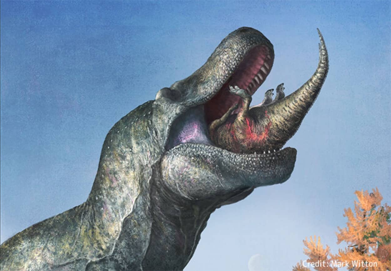 ティラノサウルスに唇があった可能性