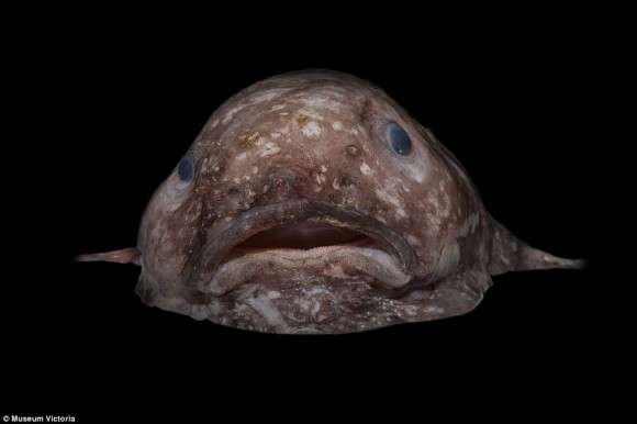 13_e0
