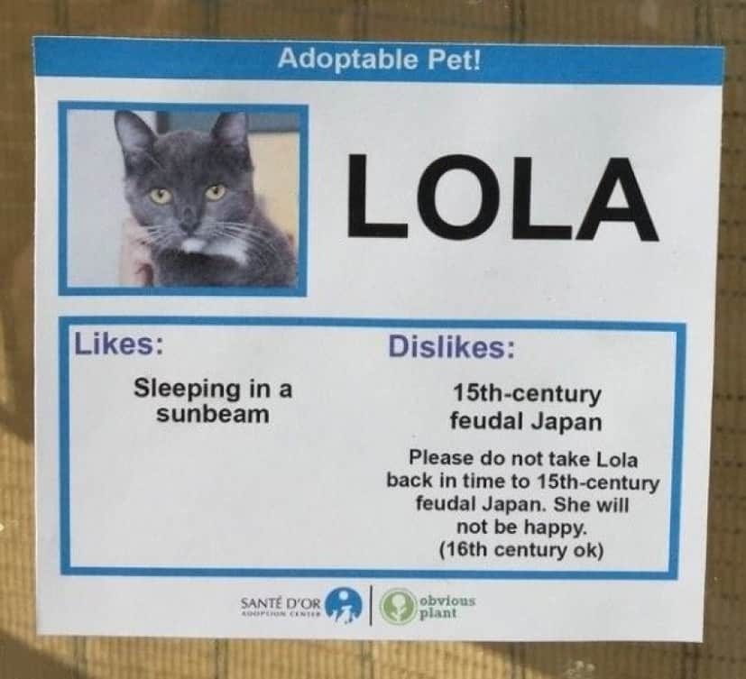 Lola_e
