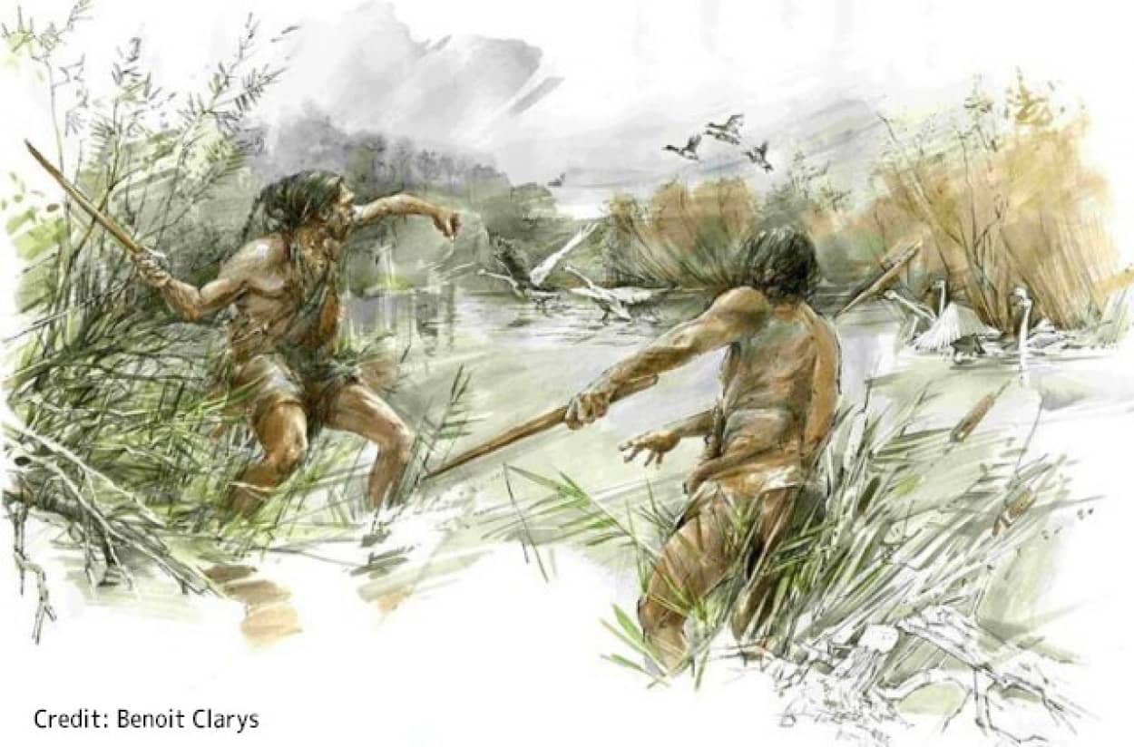 30万年前に人間の祖先が作った木の武器には高度な技術が使用されていた