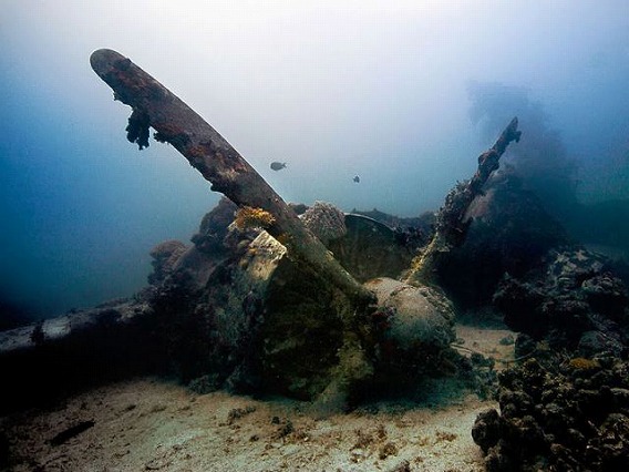 echoes_of_war_in_the_lagoon_640_08