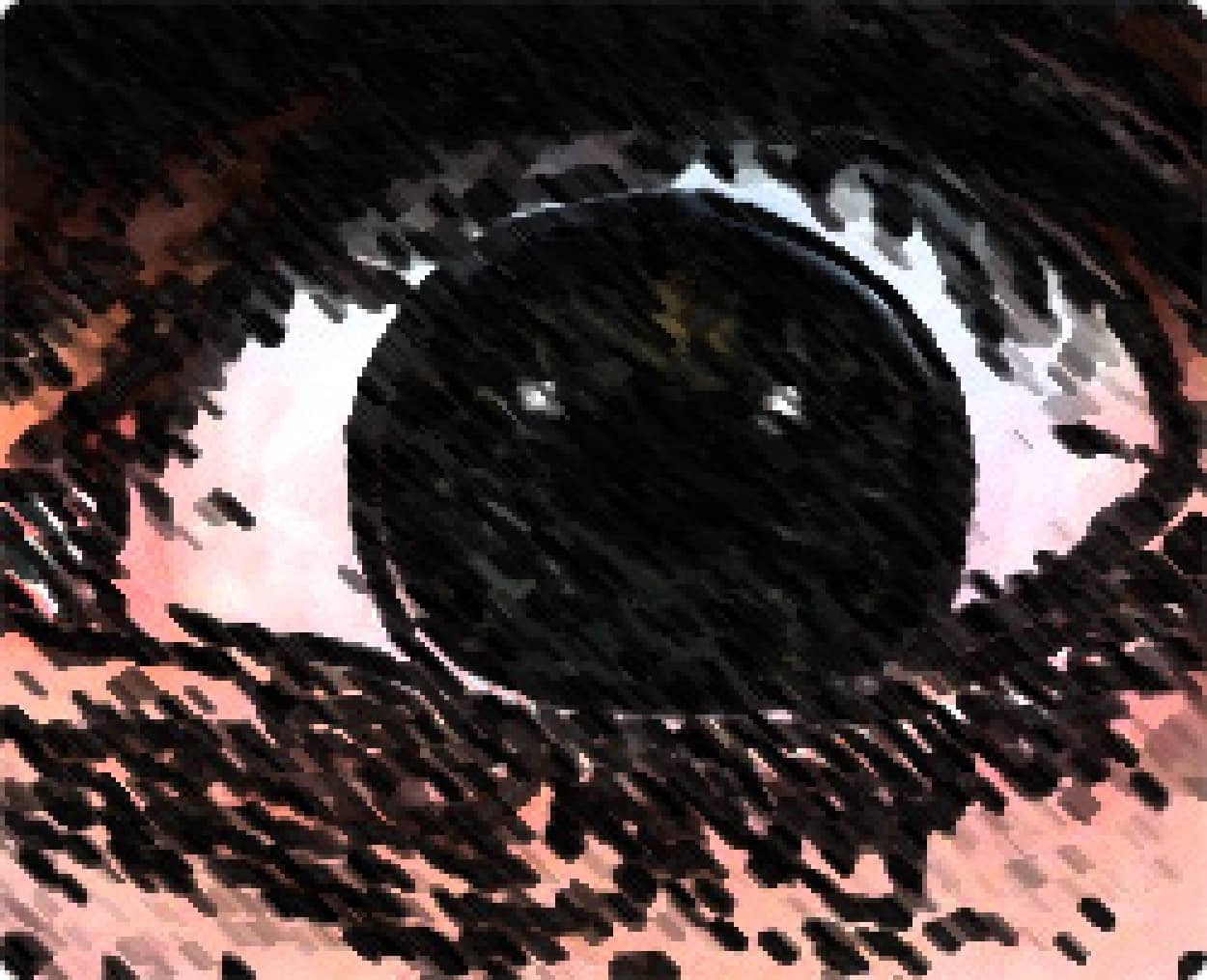 見つめられることがこんなに怖いとは なぜか目を背けたくなる目のクローズアップ映像 カラパイア 見つめられることがこんなに怖いとは なぜか目を背けたくなる目のクローズアップ映像 カラパイア