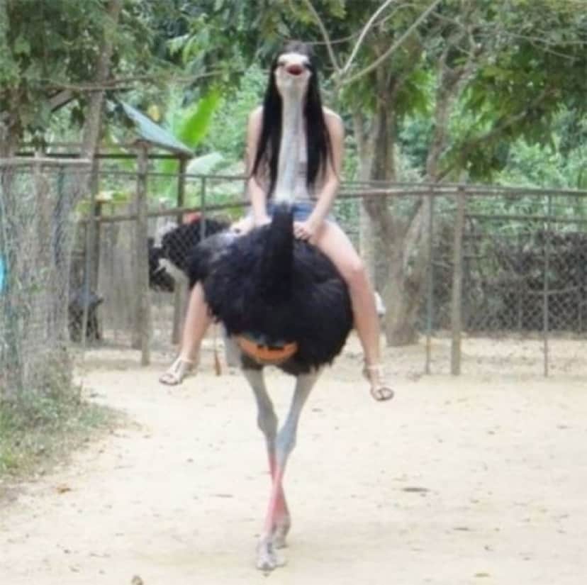 8_e0