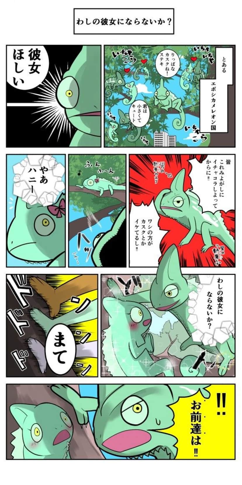 載せる用1