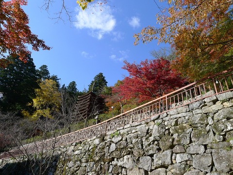 P1280958r