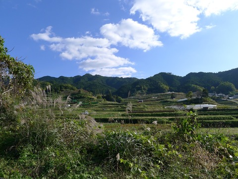 P1280885r