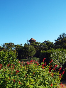 DSCF6496