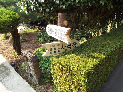 DSCF6711