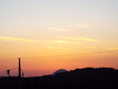DSCF6528