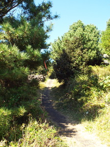 DSCF6454