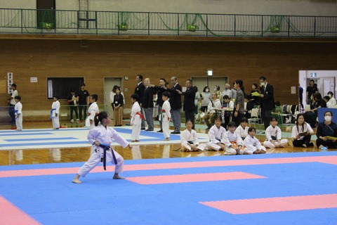 image_original (2)