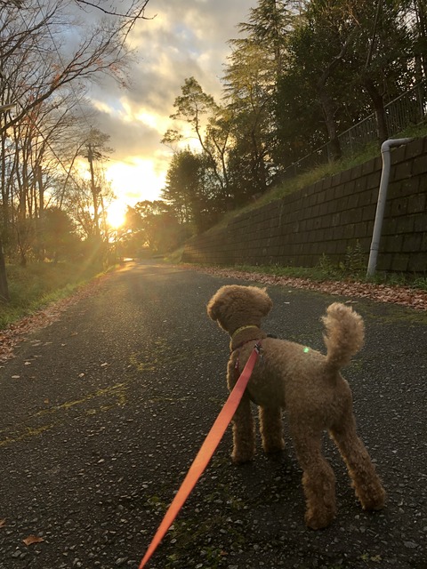 E94BD8F9-34AF-43E2-861D-F1B3EF802E28